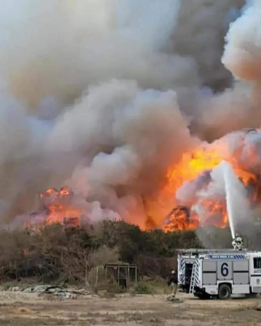 IMG_20230126_165927_494-1