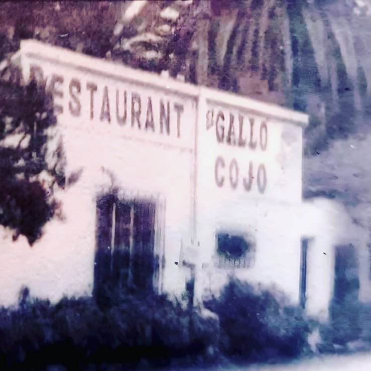 IMG_20230416_210301_787