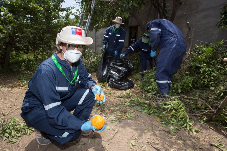 FB_IMG_1757969407898